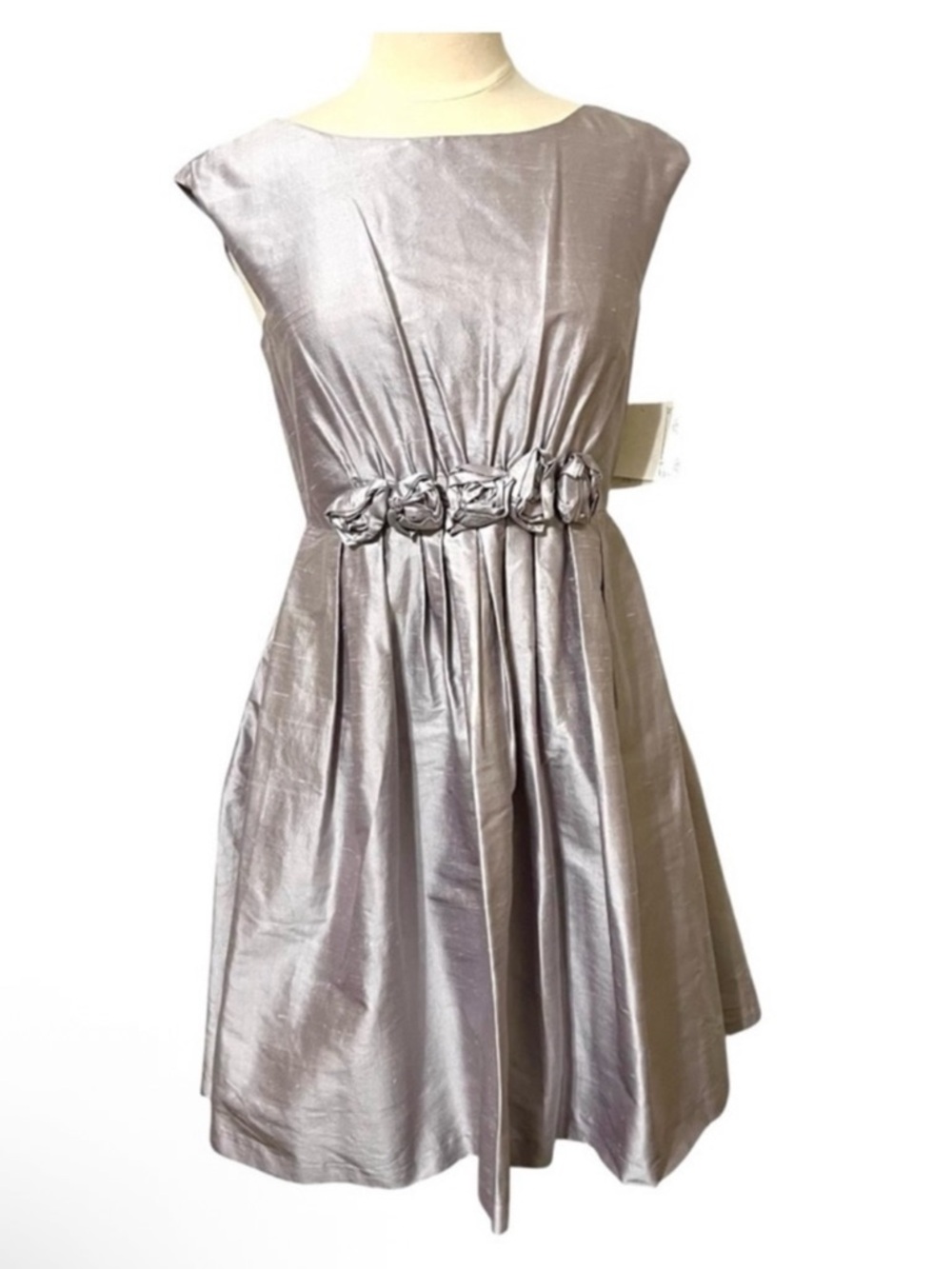 Suzi Chin for Maggy Boutique 100% Silk Dress Size 8 New